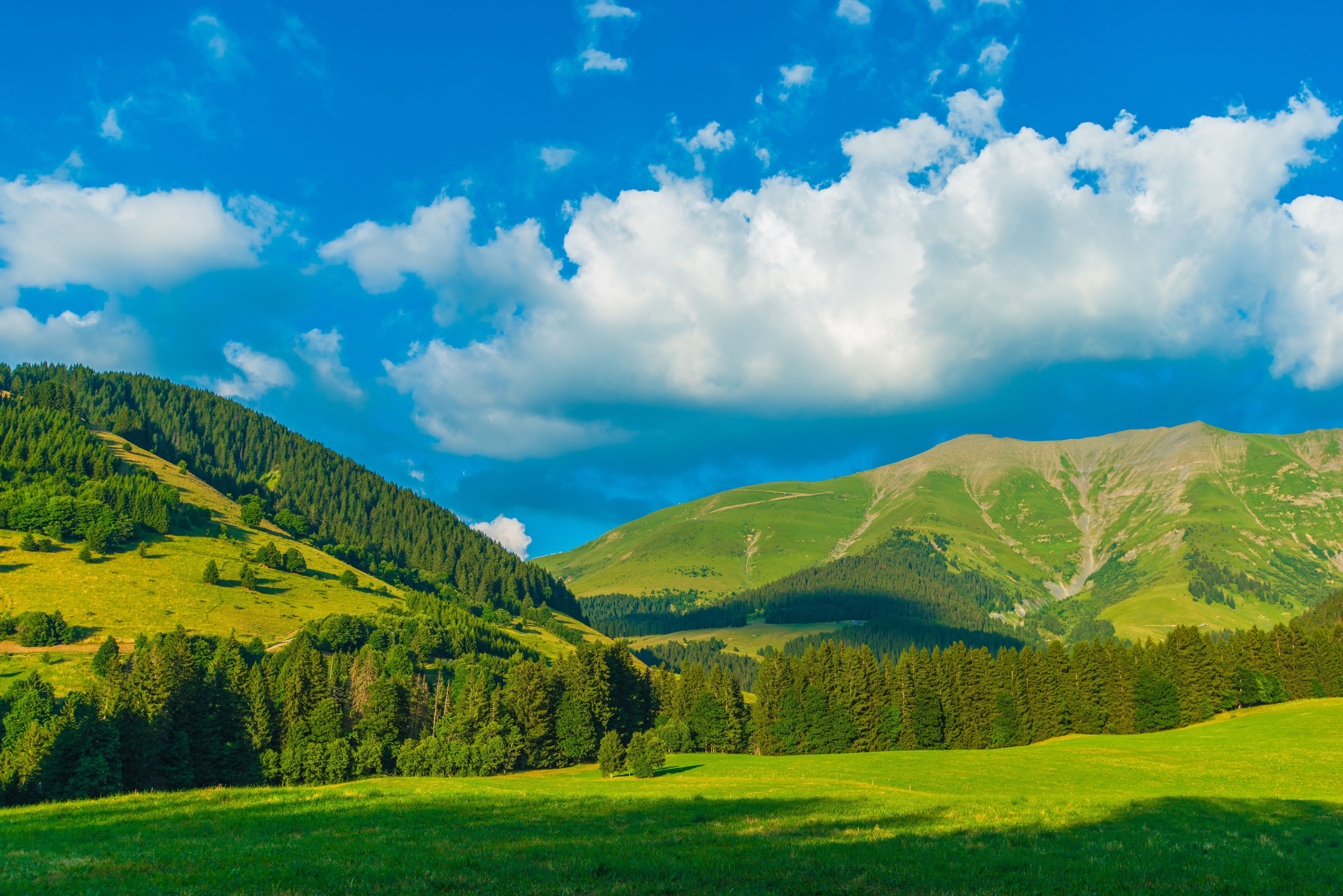 Les Houches